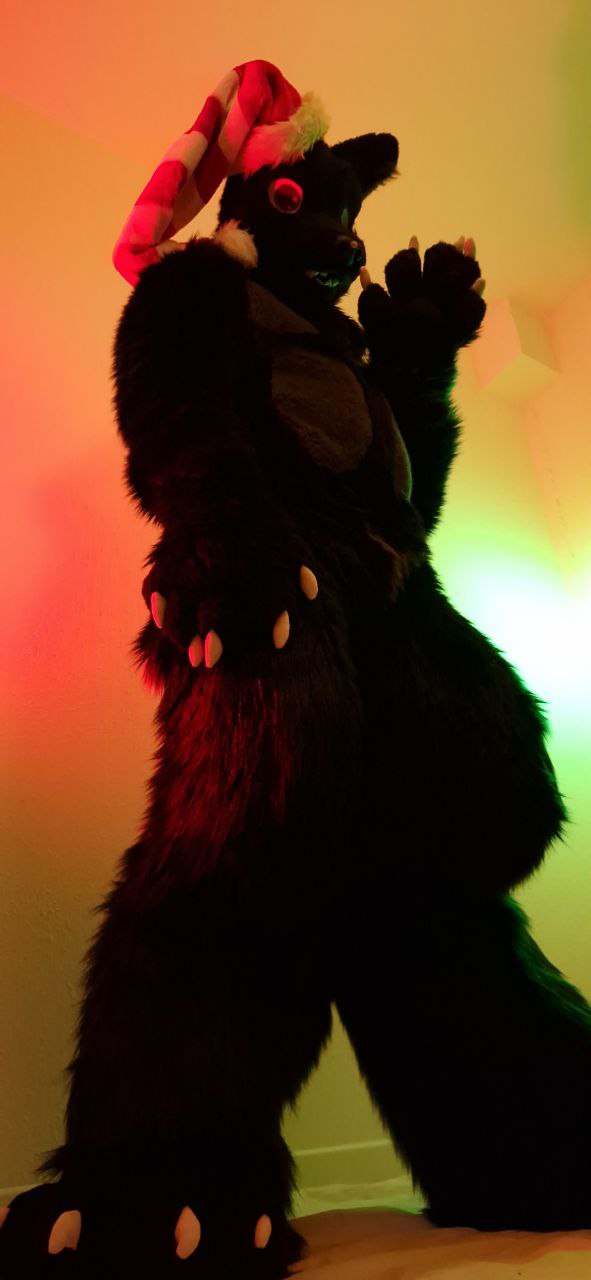 Black Fursuit, I only worked on the body part. Head, paws and tail were made by an other maker :)