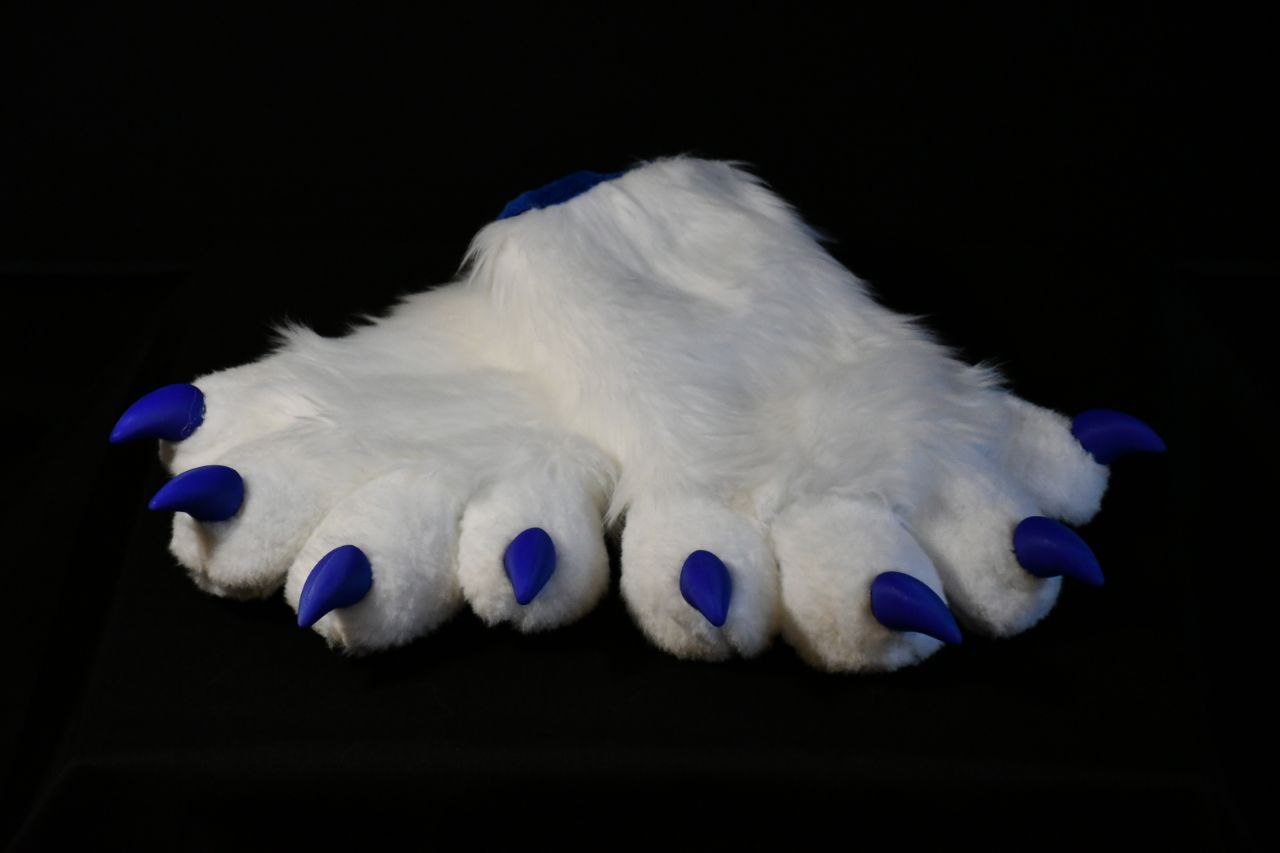 Hand paws of Hefna.