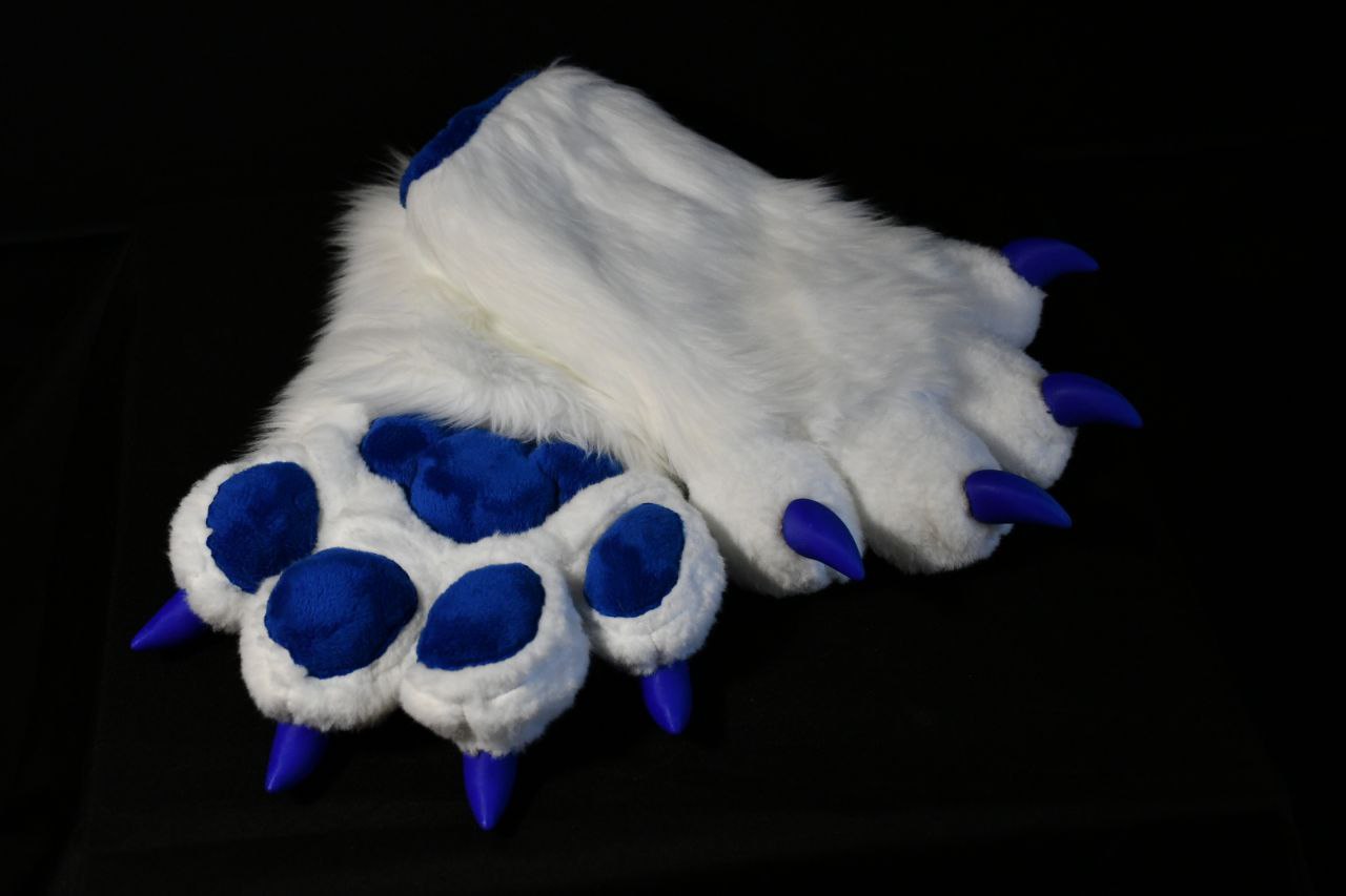 Hand paws of Hefna.