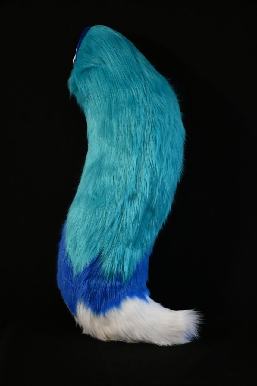 Detailed tail view.