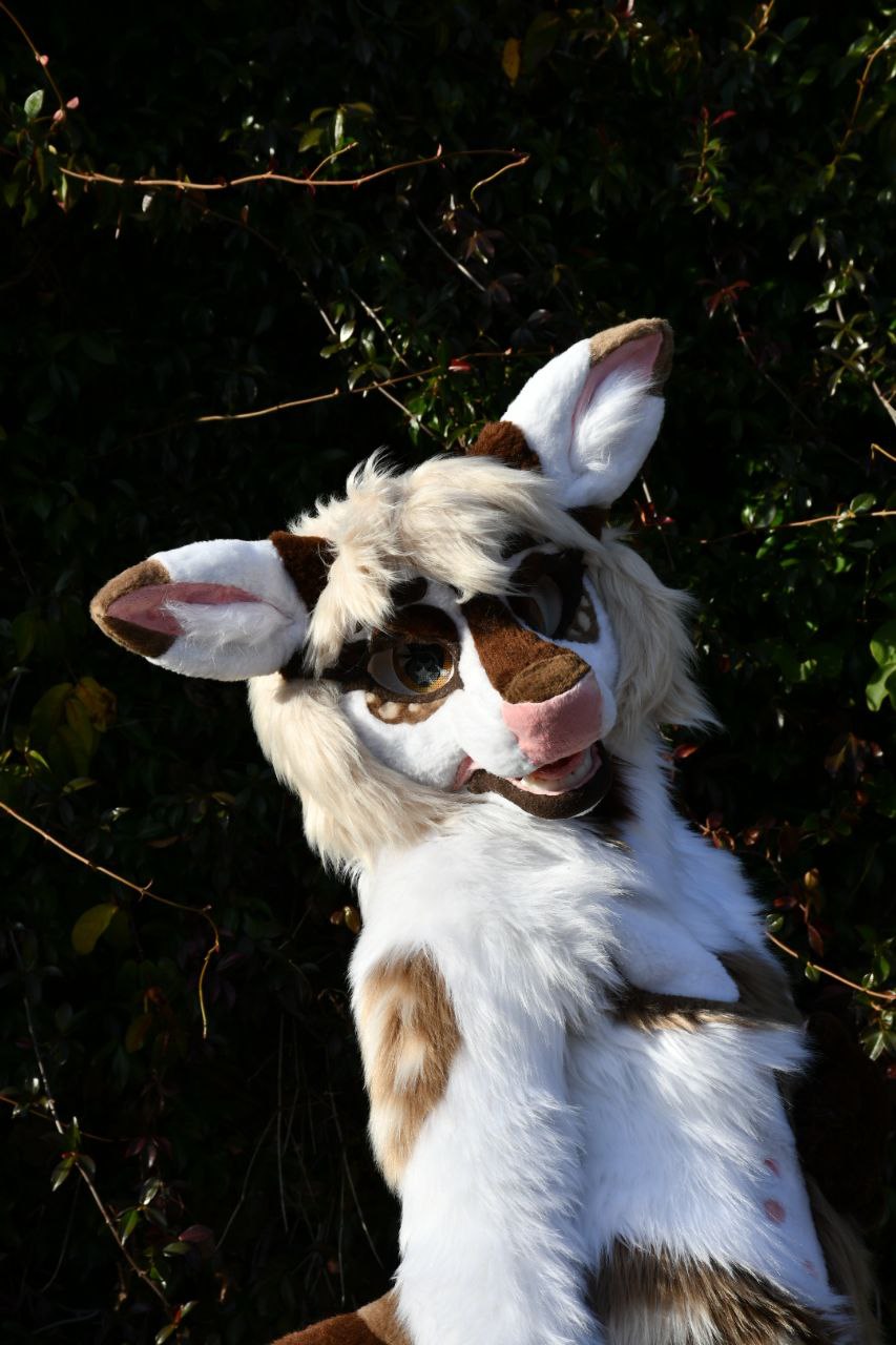 Litchie Fursuit