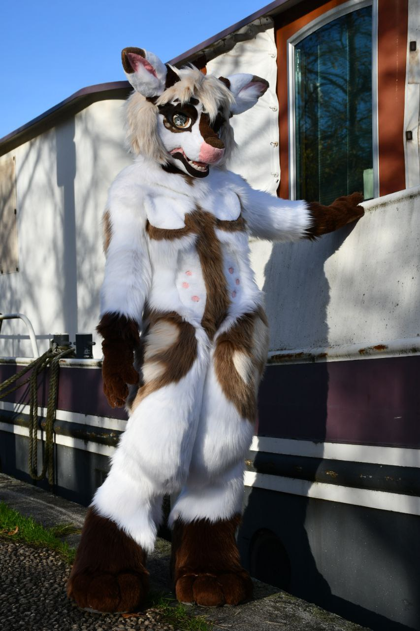 left image representing a fusruit